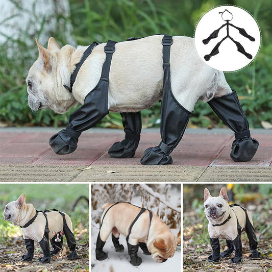 Botas Impermeables Para Mascotas